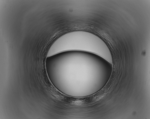 X0000096130312200801180835