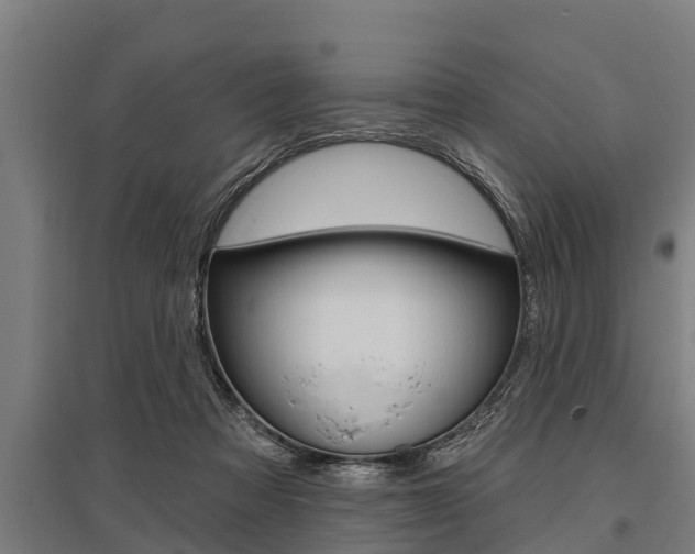 X0000096130313200801180835