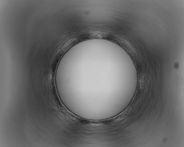 X0000096130314200801180835