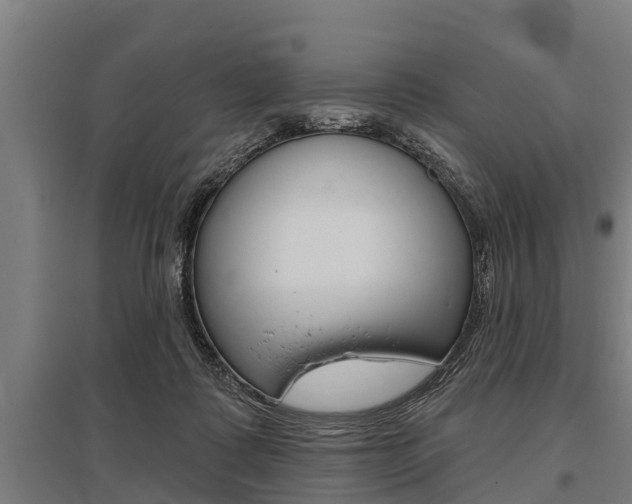 X0000096130315200801180835