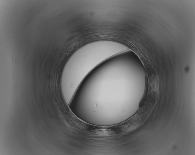 X0000096130316200801180835