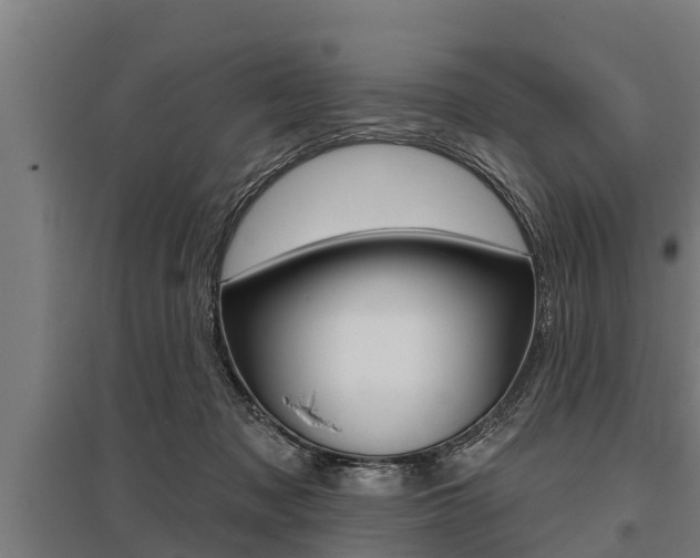 X0000096130317200801180835