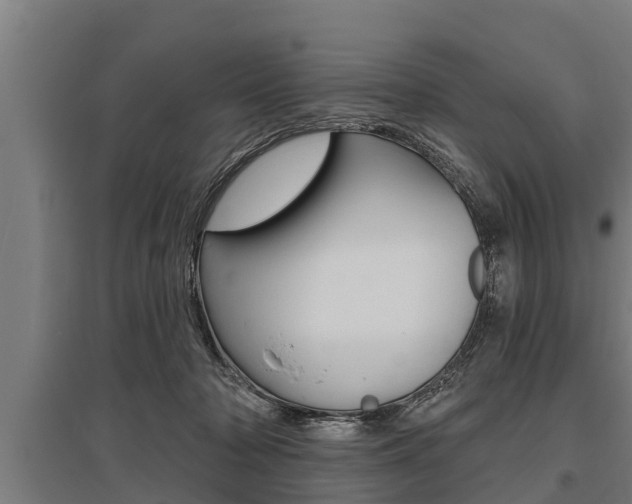 X0000096130318200801180835