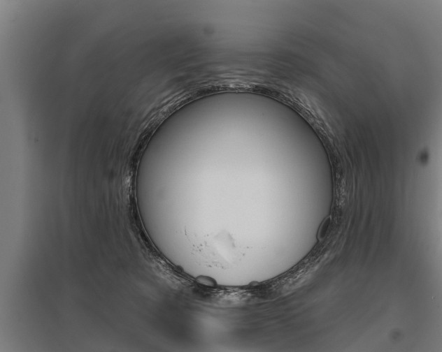 X0000096130321200801180835