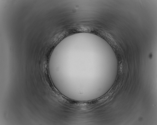 X0000096130322200801180835