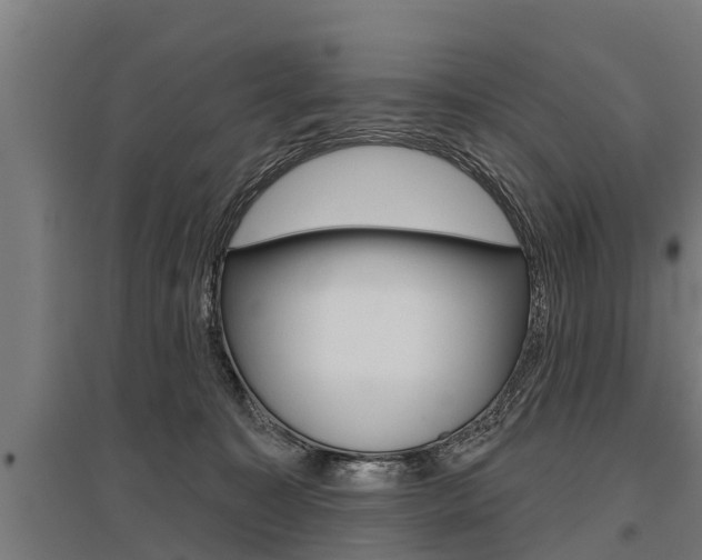 X0000096130323200801180835
