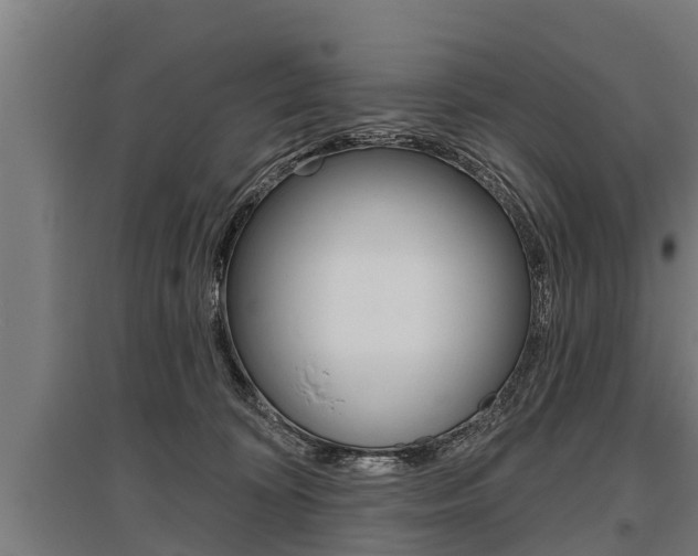 X0000096130324200801180835