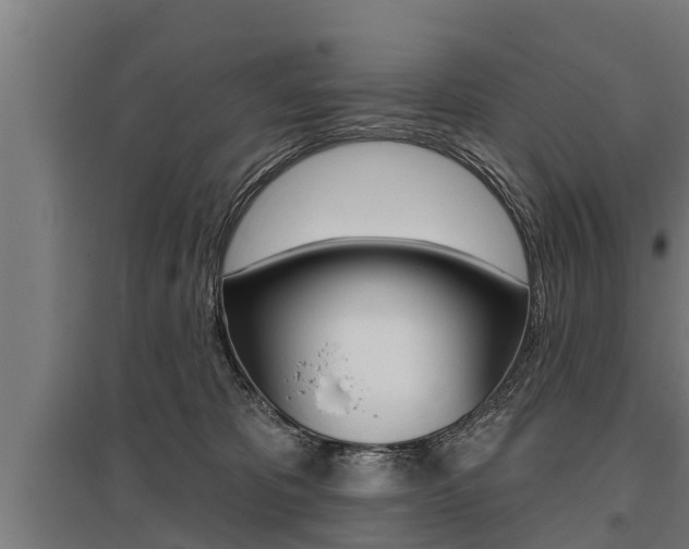 X0000096130325200801180835