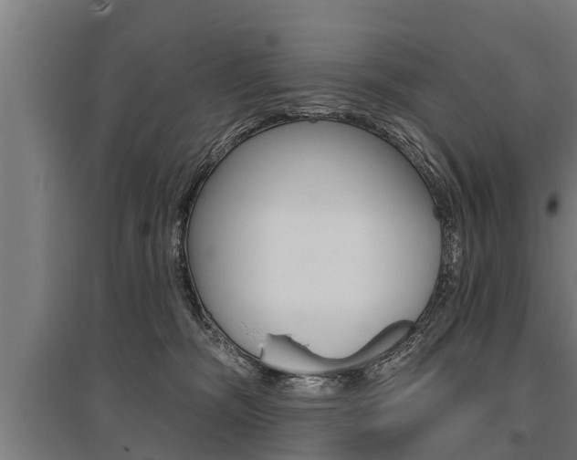 X0000096130326200801180835