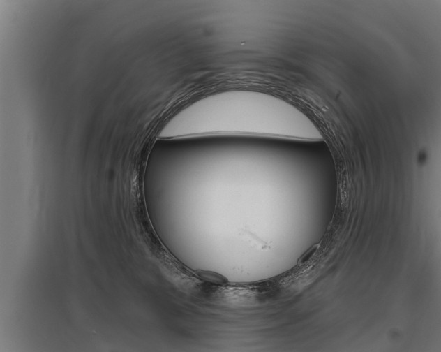 X0000096130327200801180835