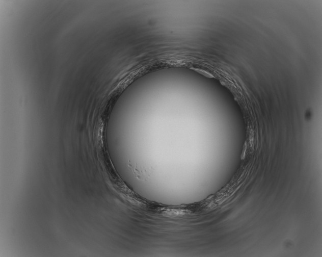 X0000096130332200801180835
