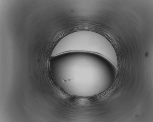X0000096130333200801180835