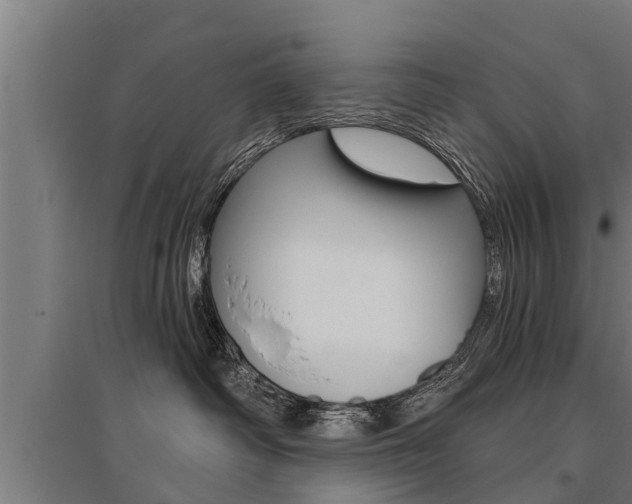 X0000096130334200801180835