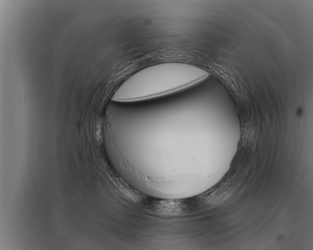X0000096130335200801180835