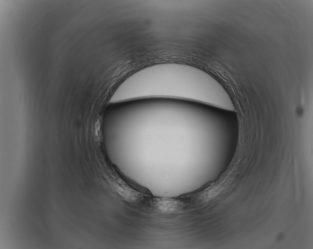X0000096130336200801180835