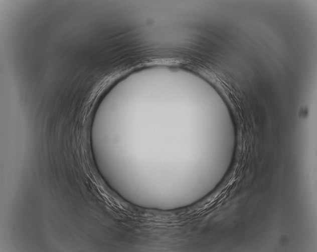 X0000096130337200801180834