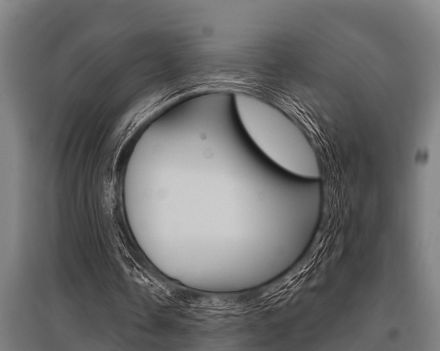 X0000096130338200801180834