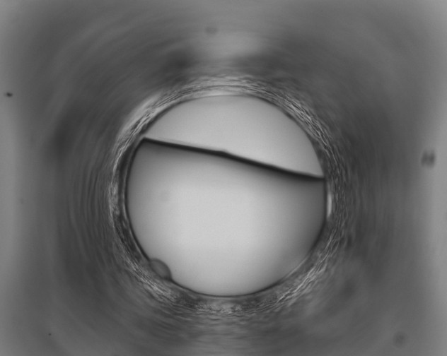 X0000096130339200801180834