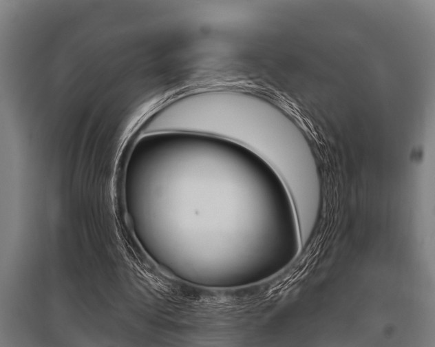 X0000096130340200801180834