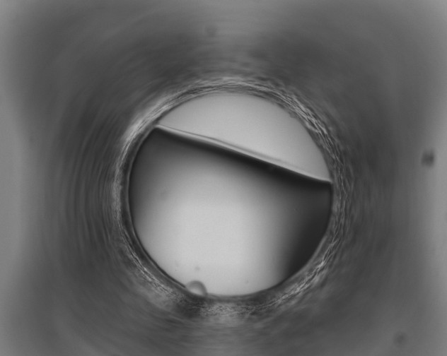 X0000096130341200801180834
