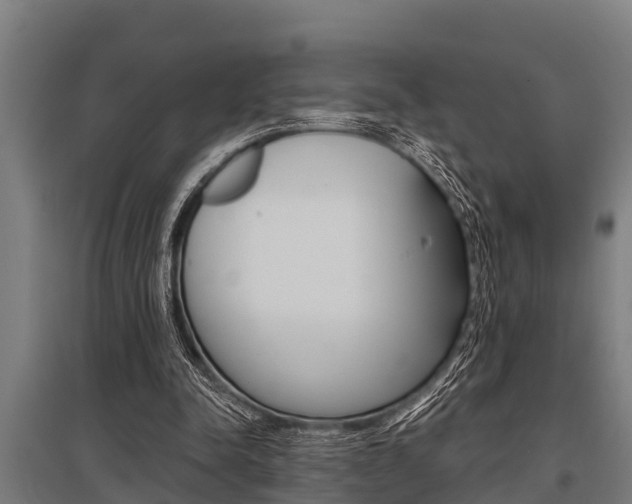 X0000096130342200801180834
