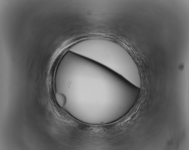 X0000096130343200801180834