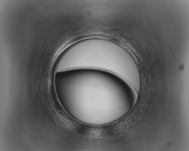 X0000096130344200801180834