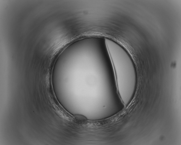 X0000096130345200801180834