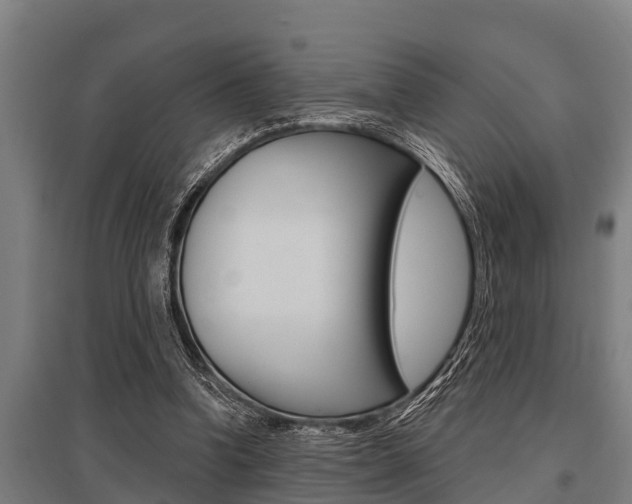 X0000096130346200801180834