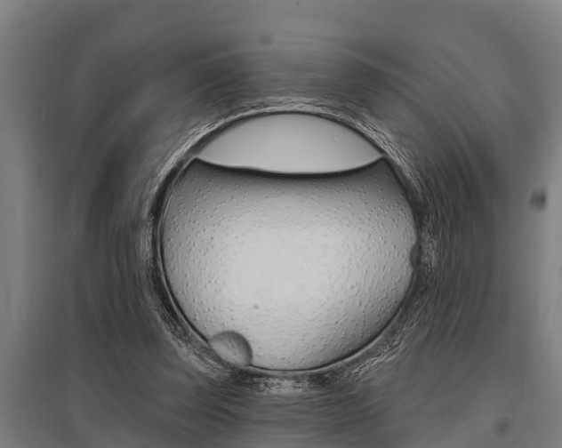 X0000096130347200801180834
