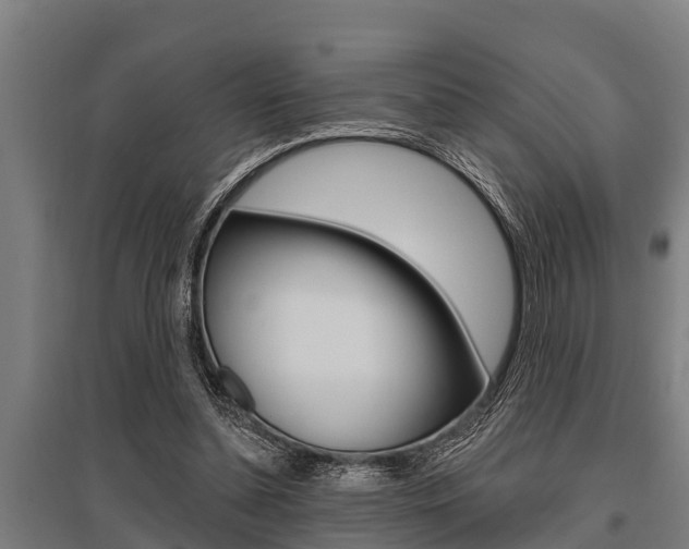 X0000096130348200801180834