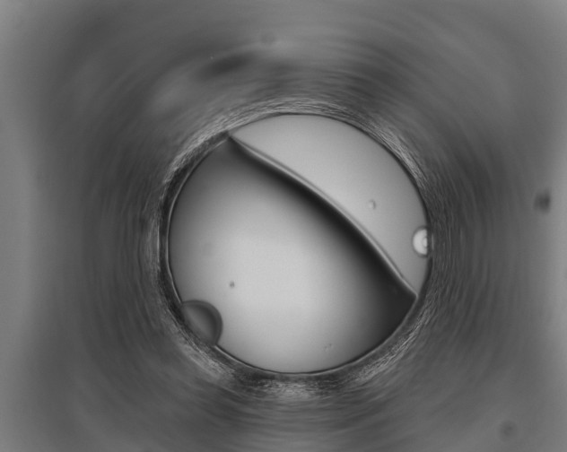 X0000096130349200801180834