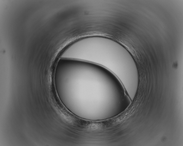 X0000096130350200801180834