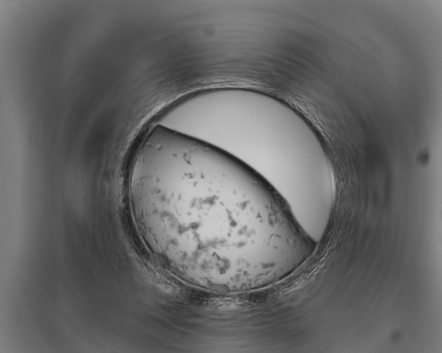 X0000096130351200801180834