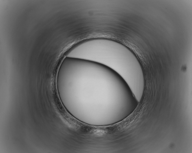 X0000096130352200801180834