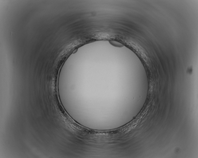 X0000096130353200801180834