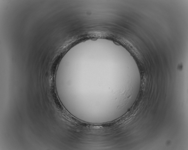 X0000096130355200801180834