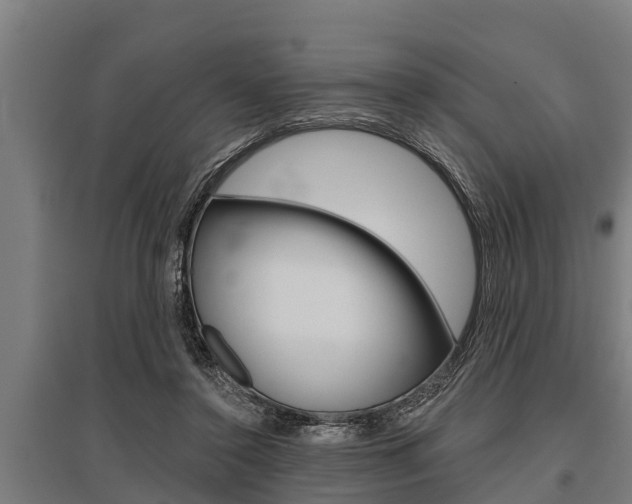 X0000096130356200801180834