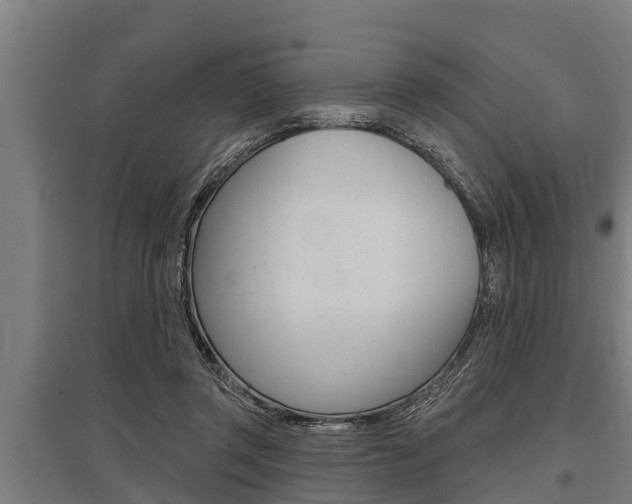 X0000096130357200801180834