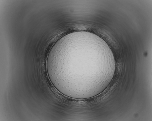 X0000096130359200801180834