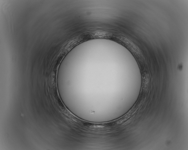 X0000096130361200801180834