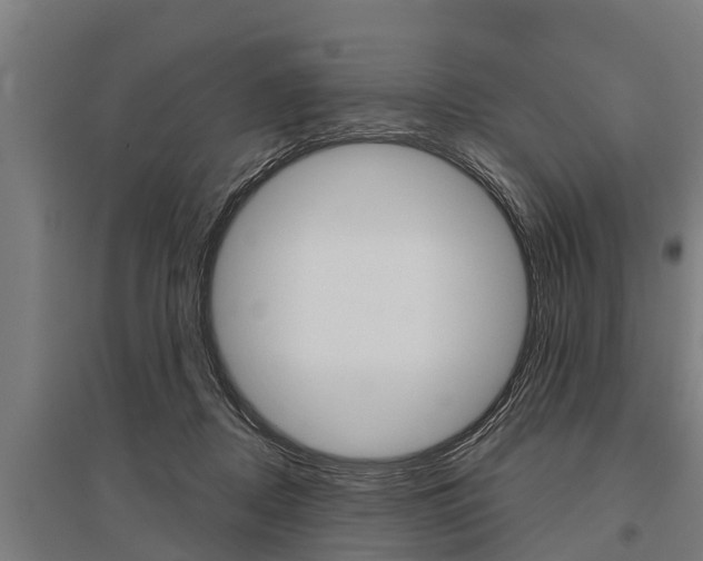 X0000096130362200801180834
