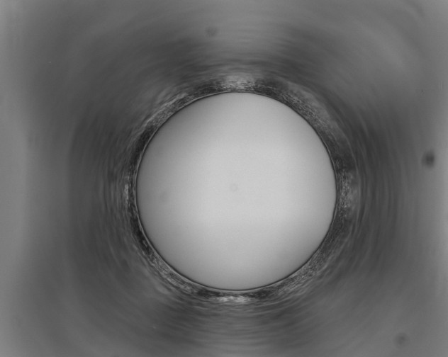 X0000096130363200801180834
