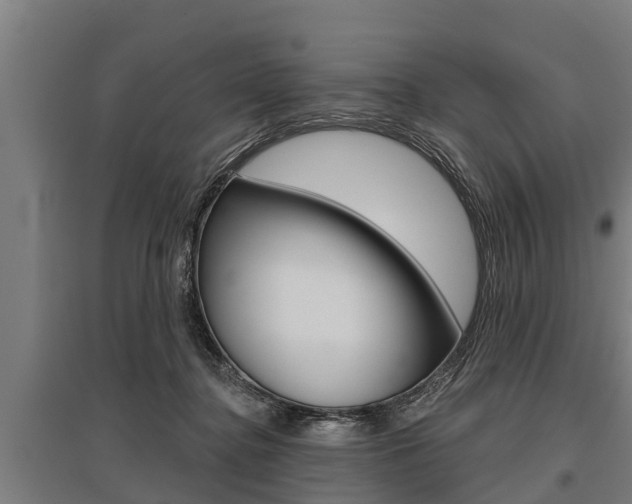 X0000096130364200801180834