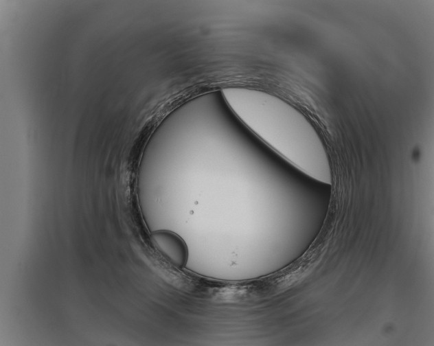 X0000096130366200801180834