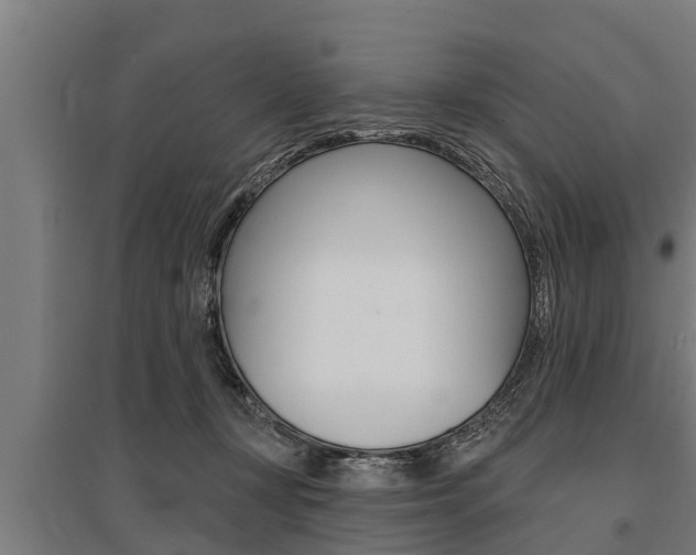X0000096130367200801180834