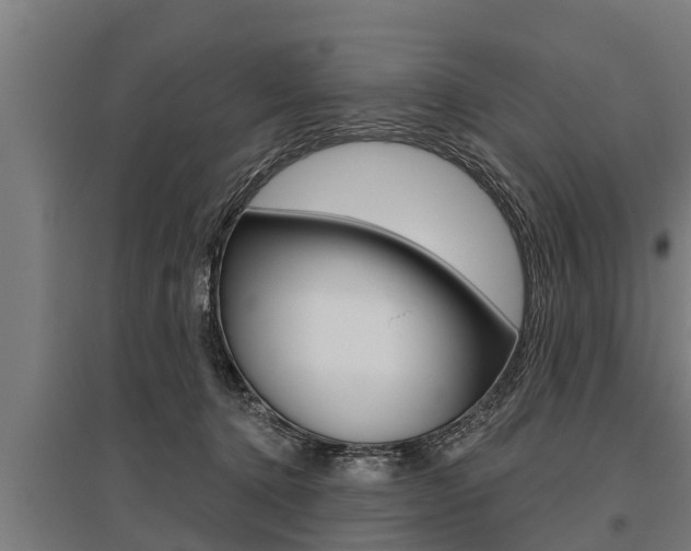 X0000096130368200801180834