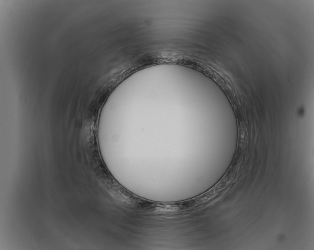 X0000096130369200801180834