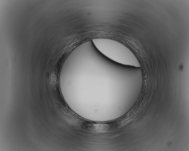 X0000096130371200801180834
