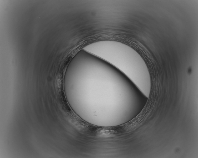 X0000096130372200801180834